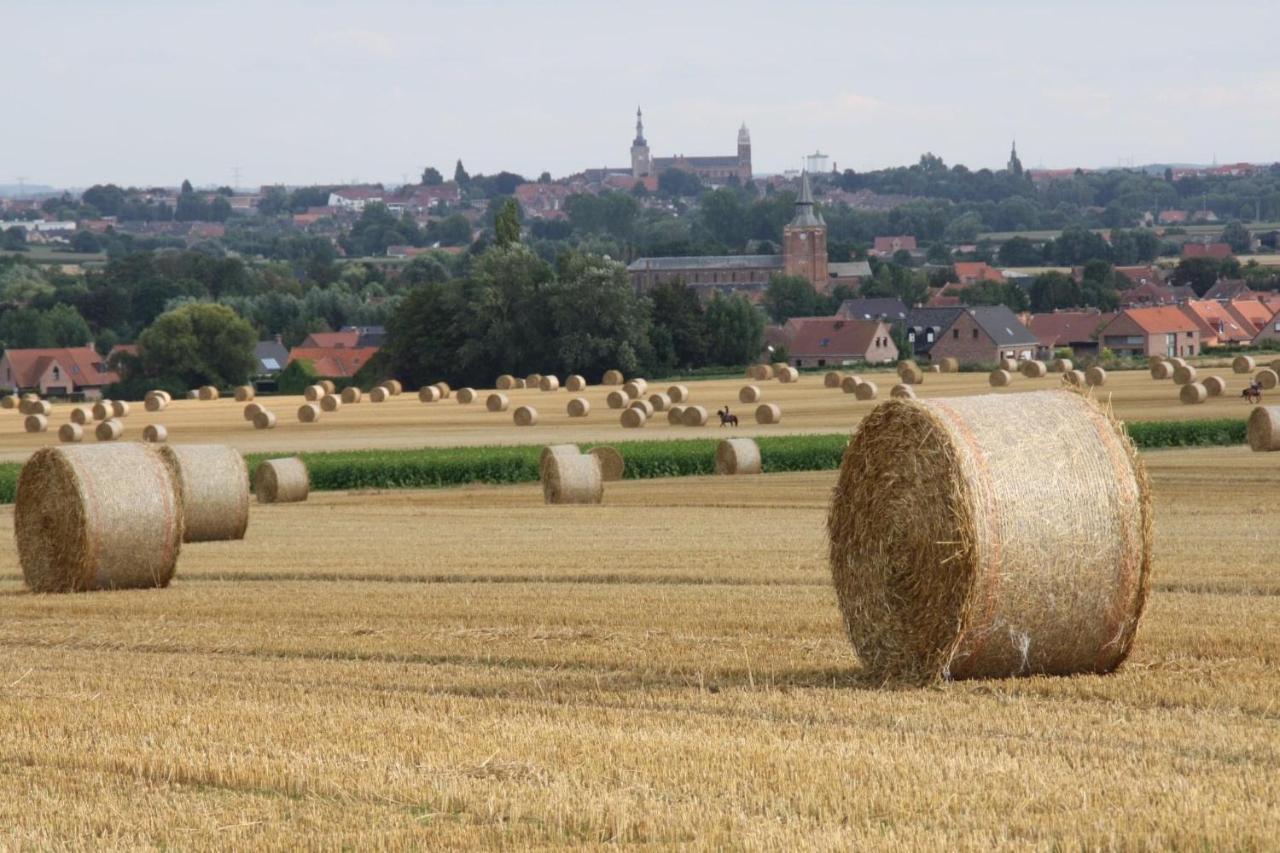 Homestay 52 Bailleul (Nord)